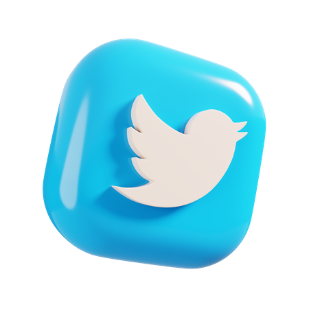 Twitter ( X )
